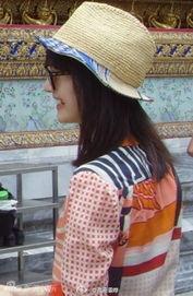 泰国版郑爽资料,璀璨星途与争议漩涡的交织