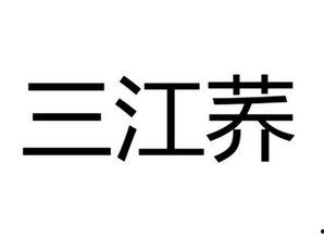 邵东明背景,从基层奋斗者到行业领军者的蜕变之路
