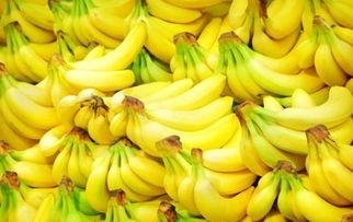 香蕉娱乐月末考核,盘点业绩与亮点，展望未来发展趋势”